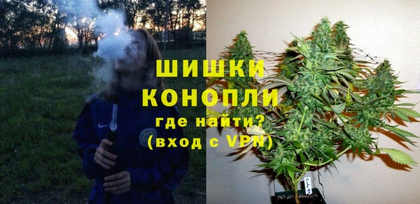 ГАЛЛЮЦИНОГЕННЫЕ ГРИБЫ Балахна