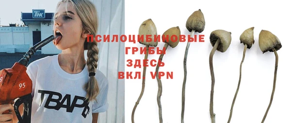 гашик Баксан