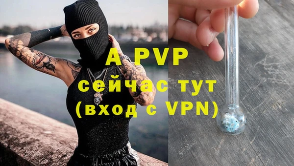гашик Баксан