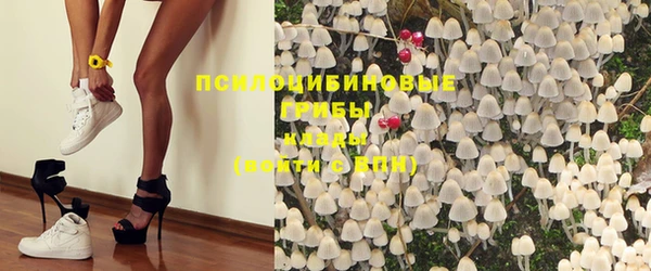 ГАЛЛЮЦИНОГЕННЫЕ ГРИБЫ Балахна