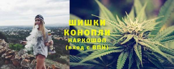 ГАЛЛЮЦИНОГЕННЫЕ ГРИБЫ Балахна