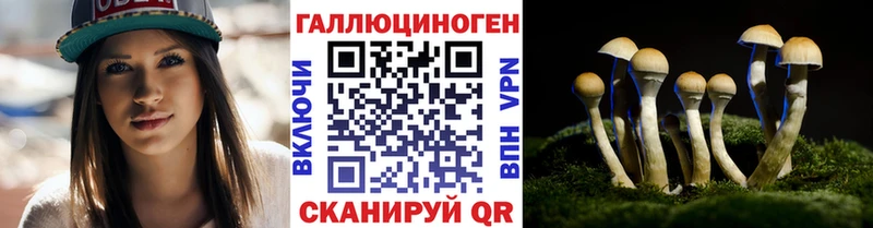 Псилоцибиновые грибы Cubensis  Уржум 